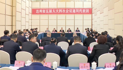 市五届人大四次会议通川代表团审议市政府工作报告