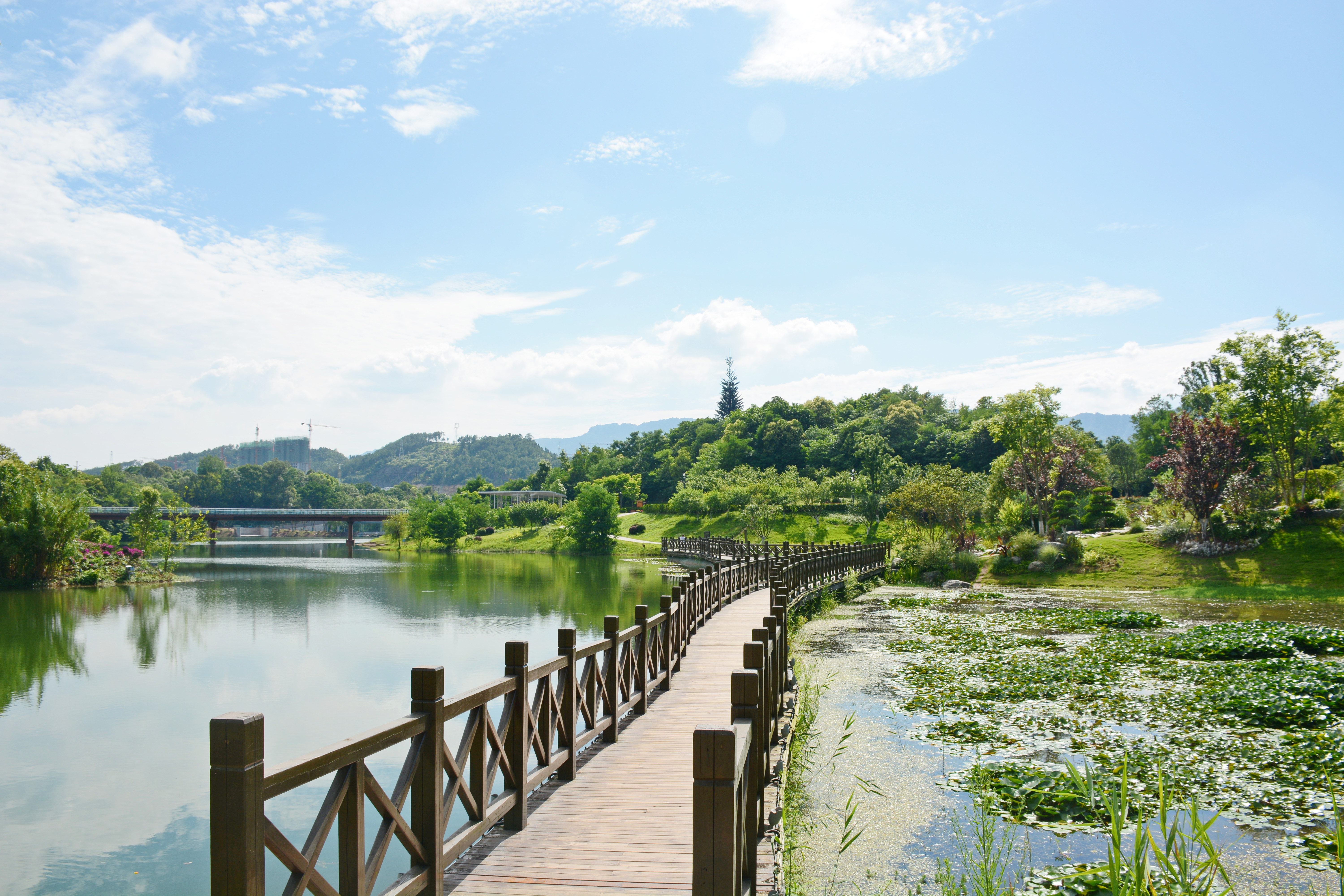 莲花湖