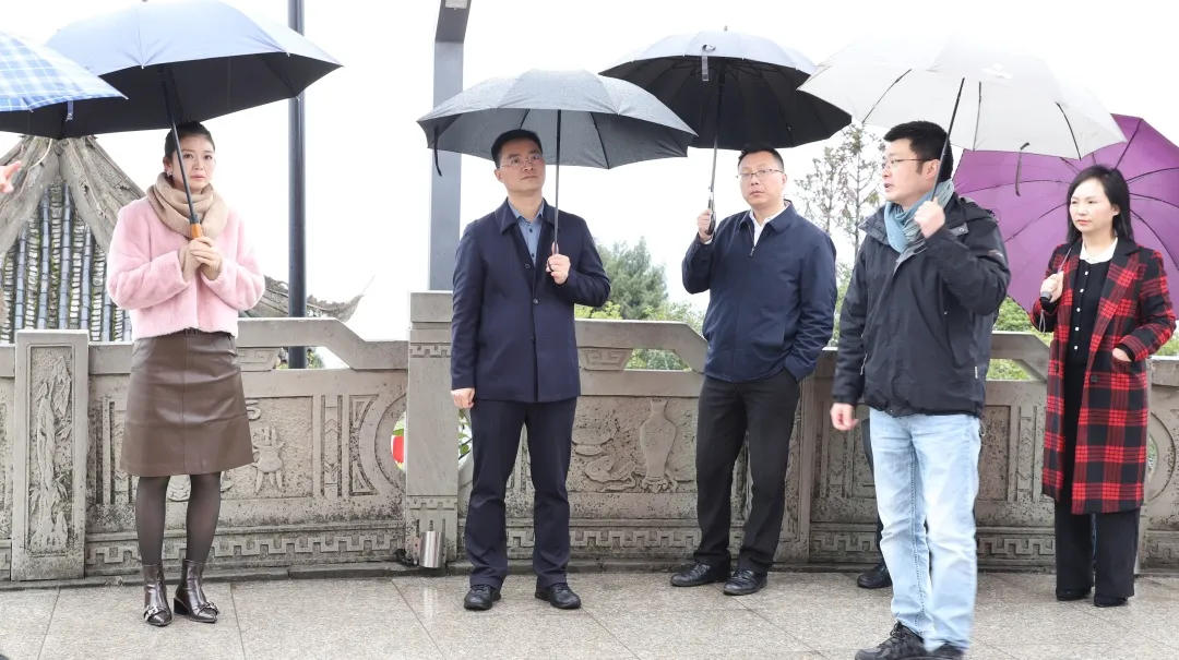 覃永利调研凤凰山环境提升工作