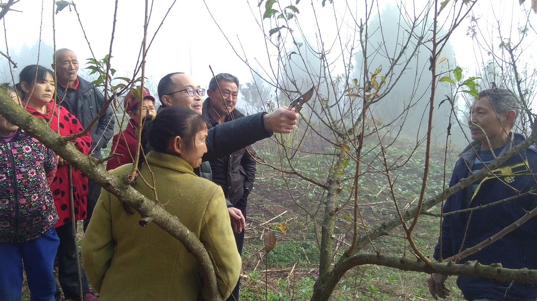 微信图片_20191204101430.jpg