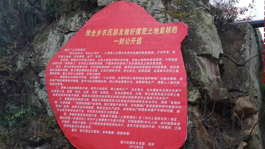 mmexport1577286458418.jpg