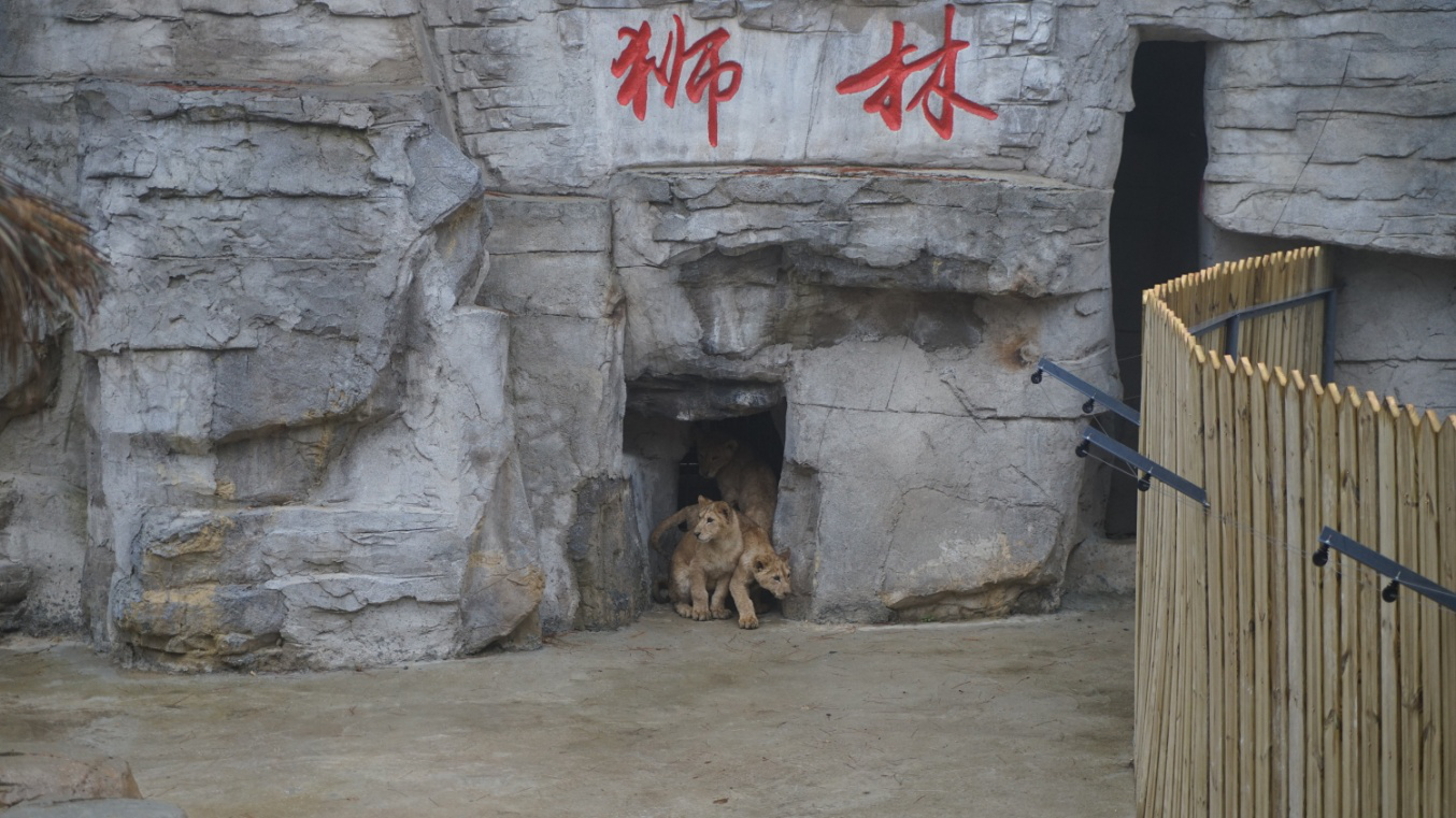 图片2.png