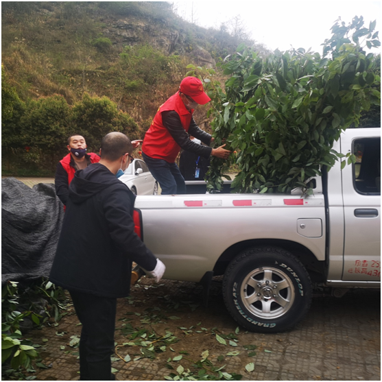 20200316158432595440500644.png image.png