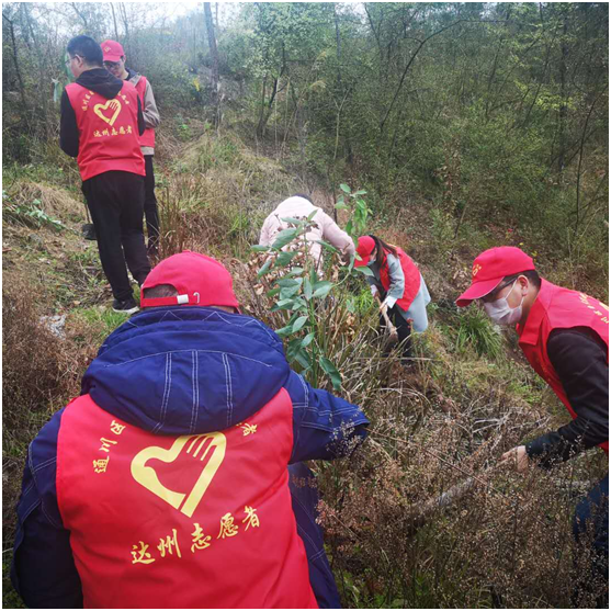 20200316158432596452001677.png image.png