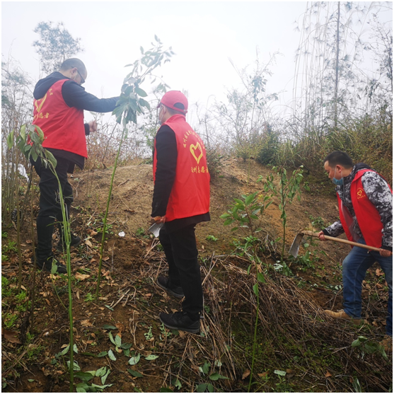 20200316158432597525109782.png image.png