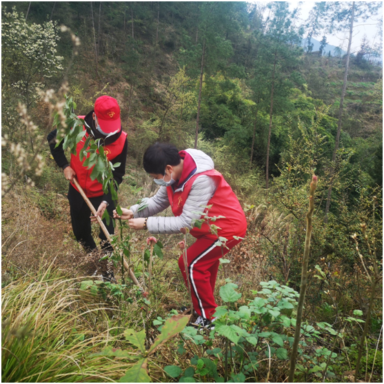 20200316158432598402704869.png image.png