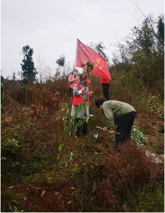 20200316158432599423002526.png image.png