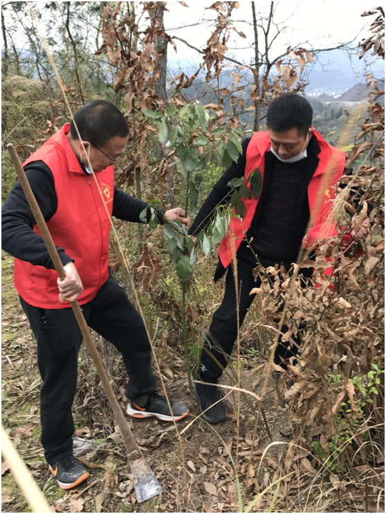 20200316158432600377901039.png image.png