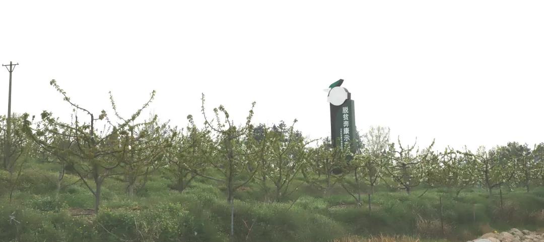 微信图片_20200326153901.jpg