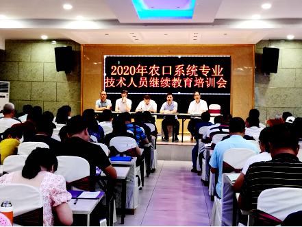 20200728159592348687304827.png image.png