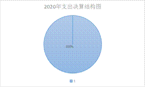 2020年支出决算结构图
