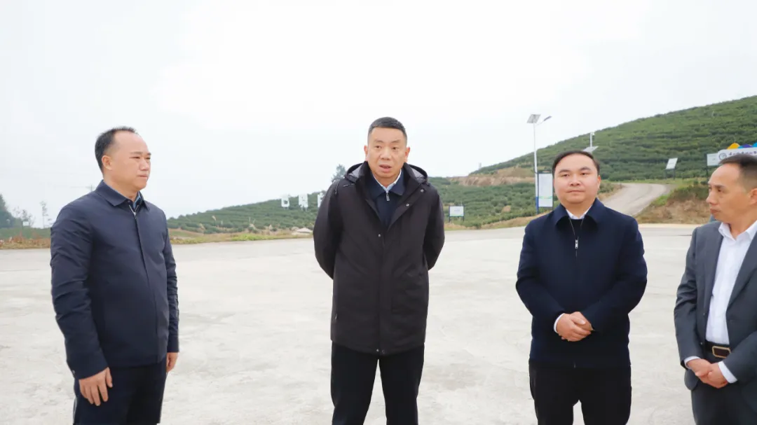 李祝荣调研乡村振兴、基层治理、产业发展工作